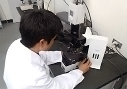 生物調査における顕微鏡観察