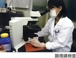 顕微鏡検査